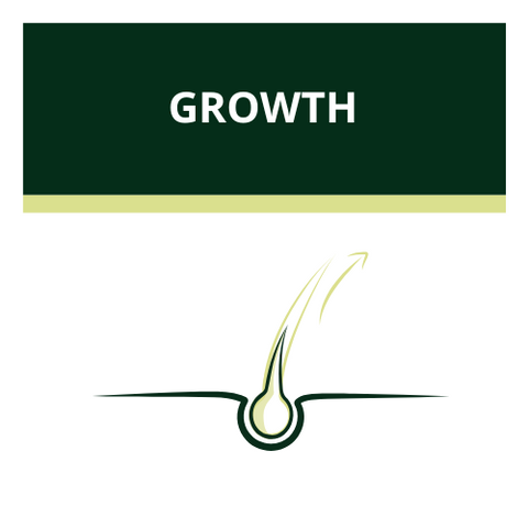 Growth